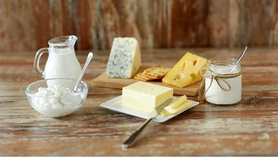 Dairy products provide abundant calcium and protein