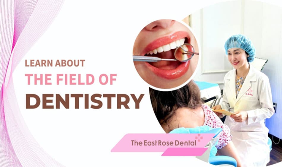 Exploring the field of Dentistry