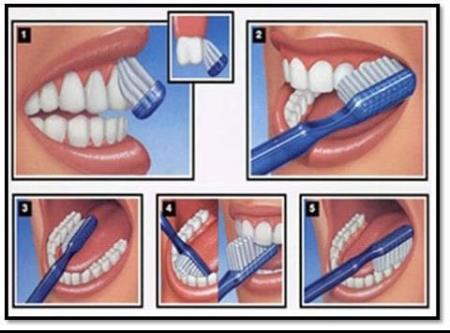 how to brush your teeth